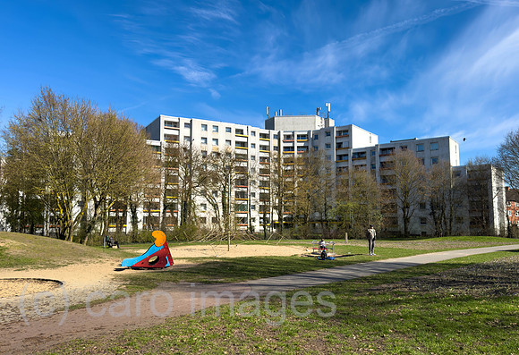 00A260320D001CAROEX.JPG