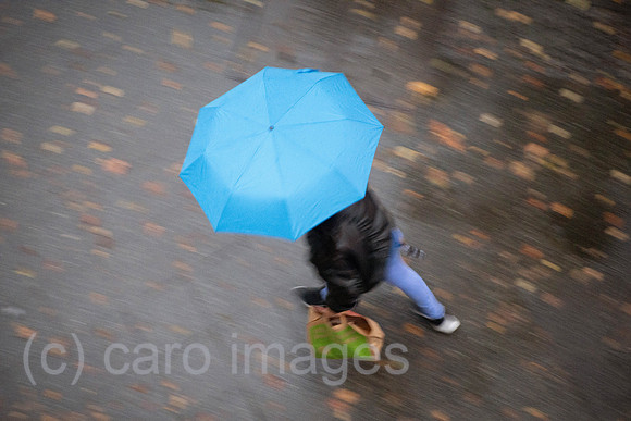 00S231012D098CAROEX.JPG