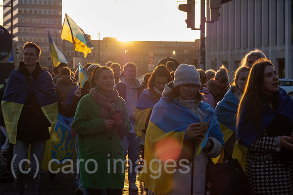 00A260224D057CAROEX.JPG