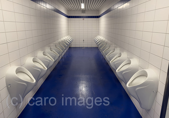 00A260423D015CAROEX.JPG