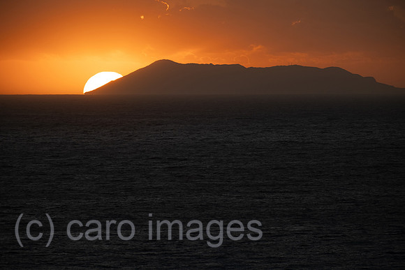 00A240929D755CAROEX.JPG