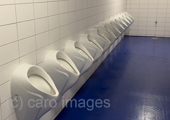 00A260423D016CAROEX.JPG