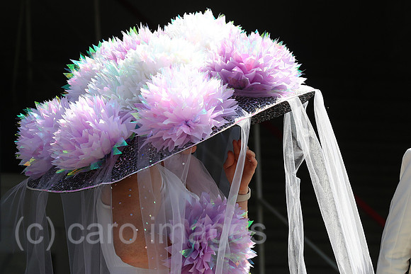 00S230528D080CAROEX.JPG