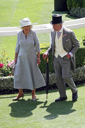00S250619D793CAROEX.JPG