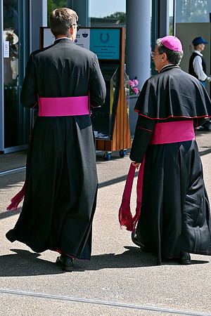 00S250619D790CAROEX.JPG