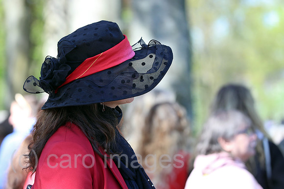 00S230430D079CAROEX.JPG