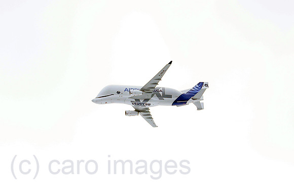 00S250707D867CAROEX.JPG