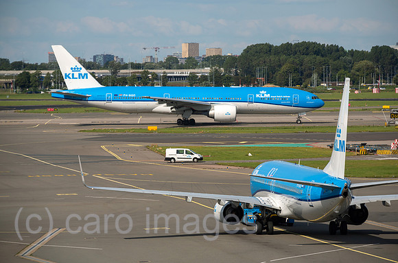 00A190721D026CAROEX.JPG