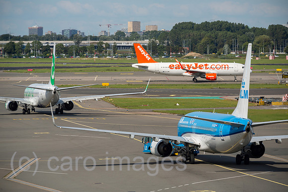 00A190721D030CAROEX.JPG