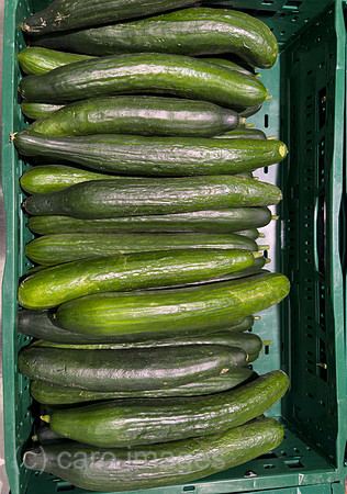 00A250301D010CAROEX.JPG