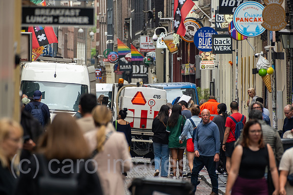 00A230619D657CAROEX.JPG