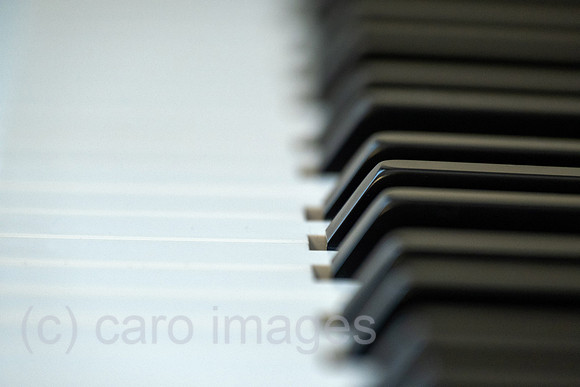 00A250402D092CAROEX.JPG