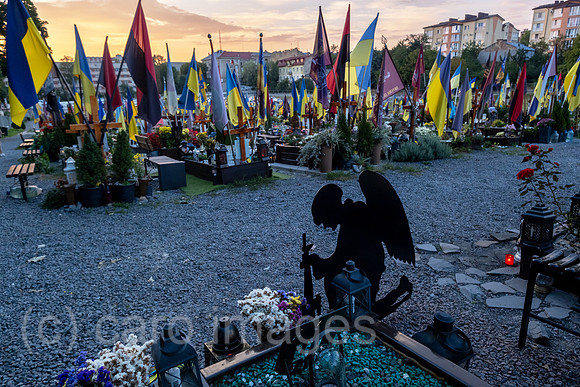 Ukraine, Lwiw - Das Marsfeld, Ehrenfriedhof der gefallenen Lwiwer Soldaten im Ukrainekrieg