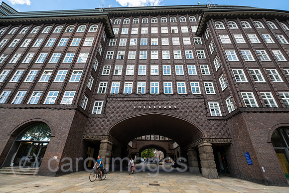 00A220831D208CAROEX.JPG