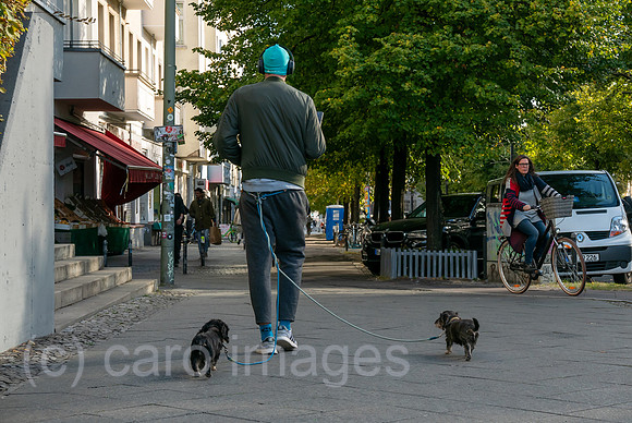 Deutschland, Berlin - Mann in Jogging-Outfit fuehrt seine Dackel aus