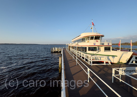 00A250315D092CAROEX.JPG