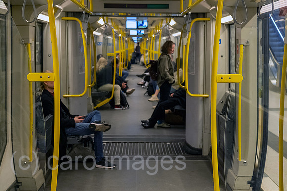 00A230519D032CAROEX.JPG