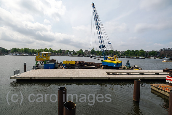 00A230619D688CAROEX.JPG