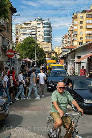 00A240920D0165CAROEX.JPG