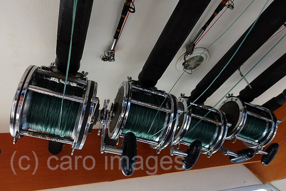 00S190729D072CAROEX.JPG