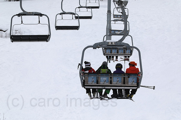 00S200202D101CAROEX.JPG