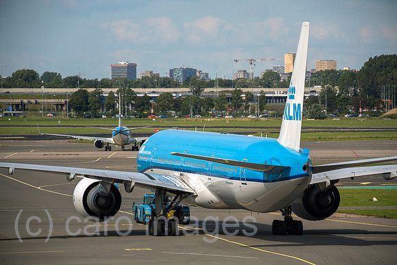 00A190721D035CAROEX.JPG