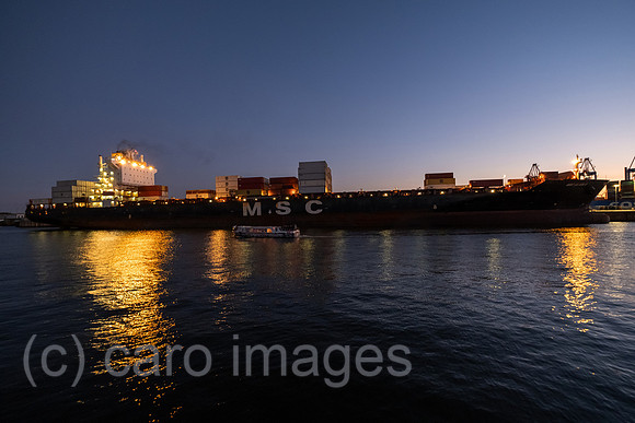 00A220831D513CAROEX.JPG