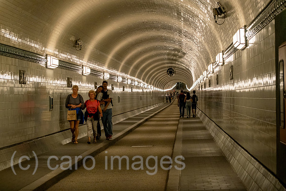 00A220831D265CAROEX.JPG