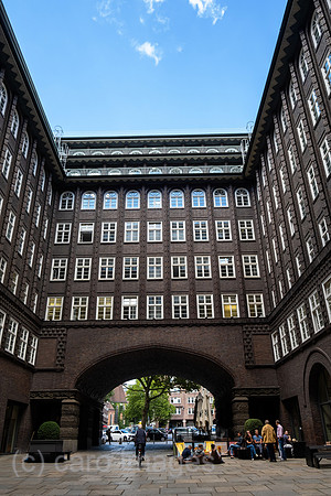 00A220831D206CAROEX.JPG