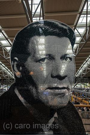 00A230608D008CAROEX.JPG