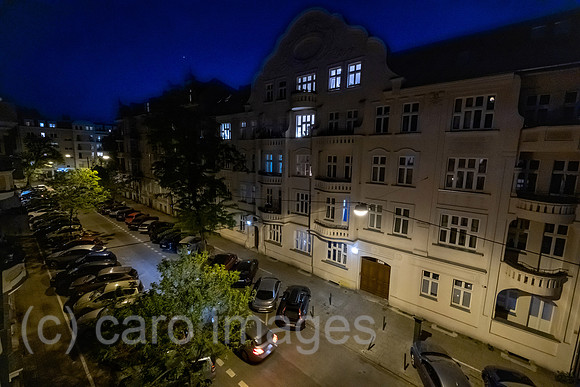 00A230521D209CAROEX.JPG