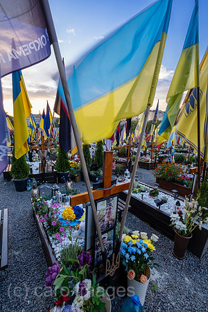 Ukraine, Lwiw - Das Marsfeld, Ehrenfriedhof der gefallenen Lwiwer Soldaten im Ukrainekrieg