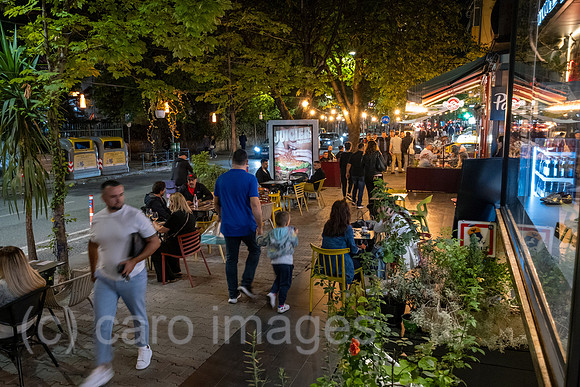 00A240920D0558CAROEX.JPG