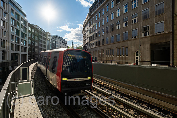 00A220831D249CAROEX.JPG