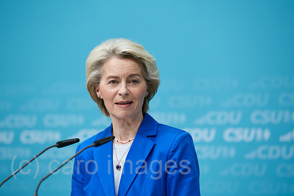 00R240311D142CAROEX.JPG