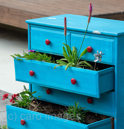 Berlin, Deutschland - Farbige Kommode mit Blumen und Pflanzen