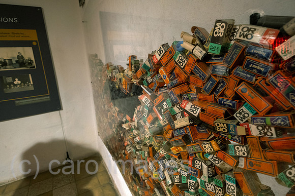 00A240921D0909CAROEX.JPG