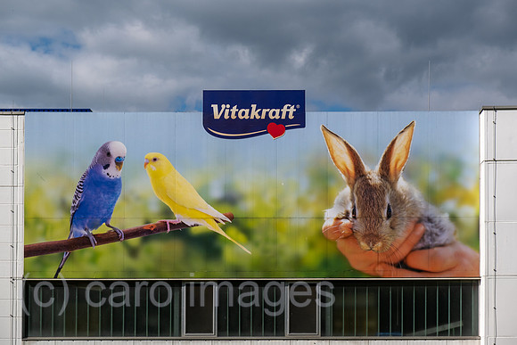 00A210612D023CAROEX.JPG