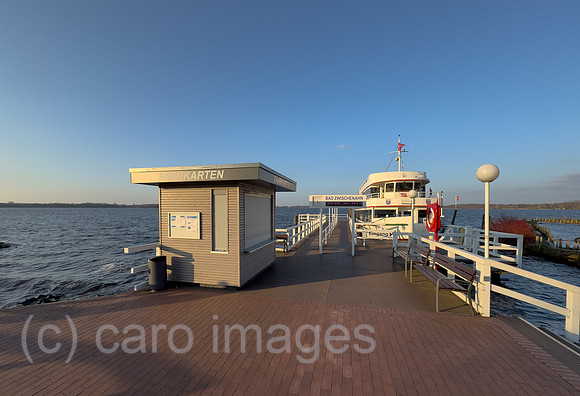 00A250315D087CAROEX.JPG