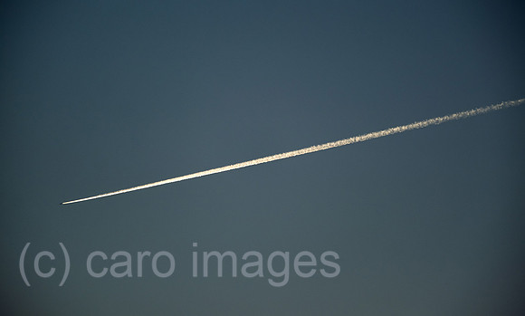 00A221012D294CAROEX.JPG