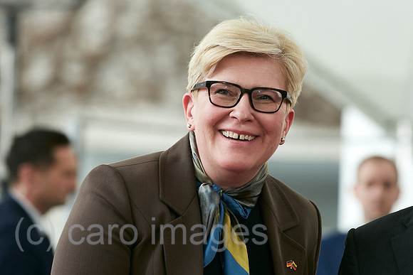 00R240314D022CAROEX.JPG