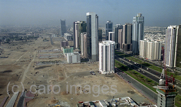 00S010325D004CAROEX.JPG