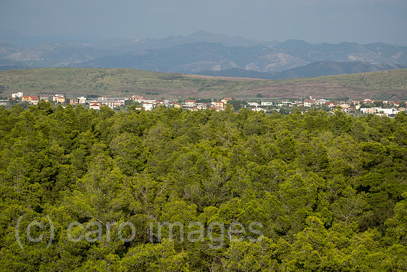 Albanien, Divjaka - Blick auf Pinienwald im Nationalpark Divjaka-Karavasta, dahinter Gewaechshaeuser, Ortschaft Divjaka und eine Bergkette