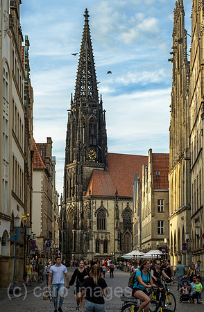 00A220625D708CAROEX.JPG