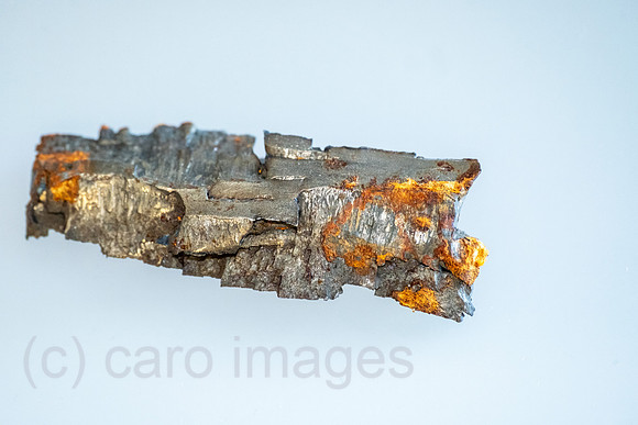 00A250402D112CAROEX.JPG