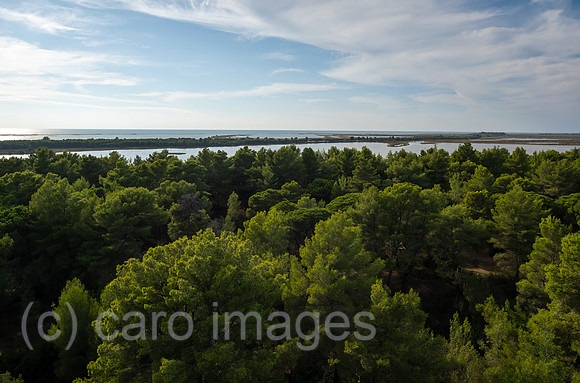 Albanien, Divjaka - Blick auf Pinienwald im Nationalpark Divjaka-Karavasta