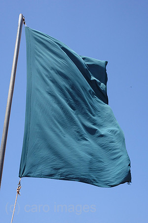 00S190723D041CAROEX.JPG