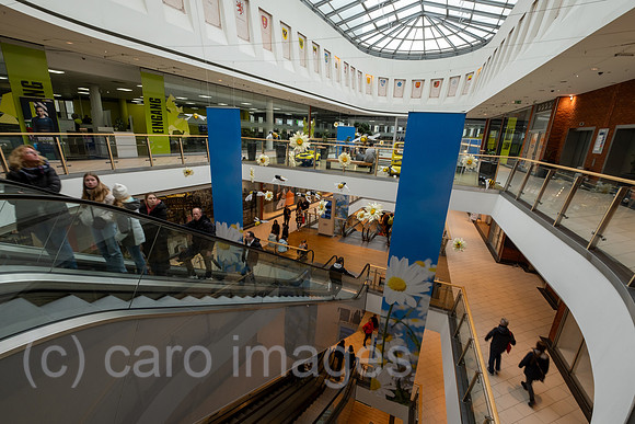 00A240402D011CAROEX.JPG