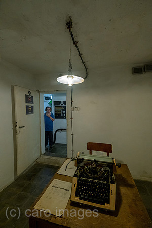 00A240921D0982CAROEX.JPG