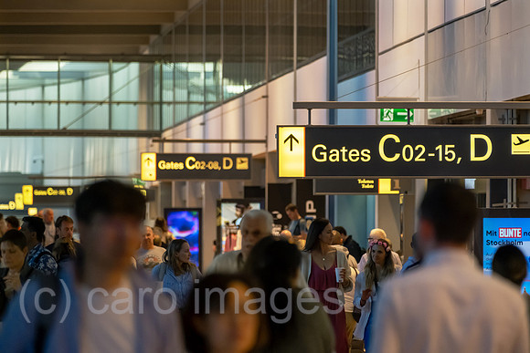 00A230608D071CAROEX.JPG